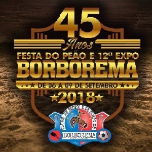Festa do Peão e 12º Expo Borborema